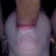 Arsenico93