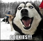 cookidispenser