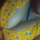 Pujaindra12
