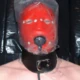 malebondagepig