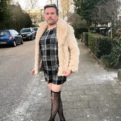 Bilthovencd