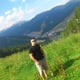 beedboy