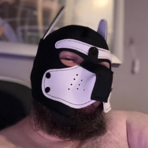 cutbear30