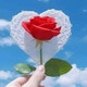 Saddamhossan247