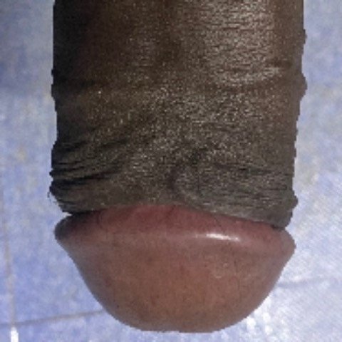 kodees22k258